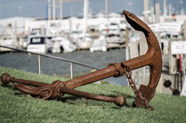 Marinalarda yelkenliden katamarana, cruise türü teknelerden balıkçı teknelerine kadar farklı pek çok araç görmek mümkün. 