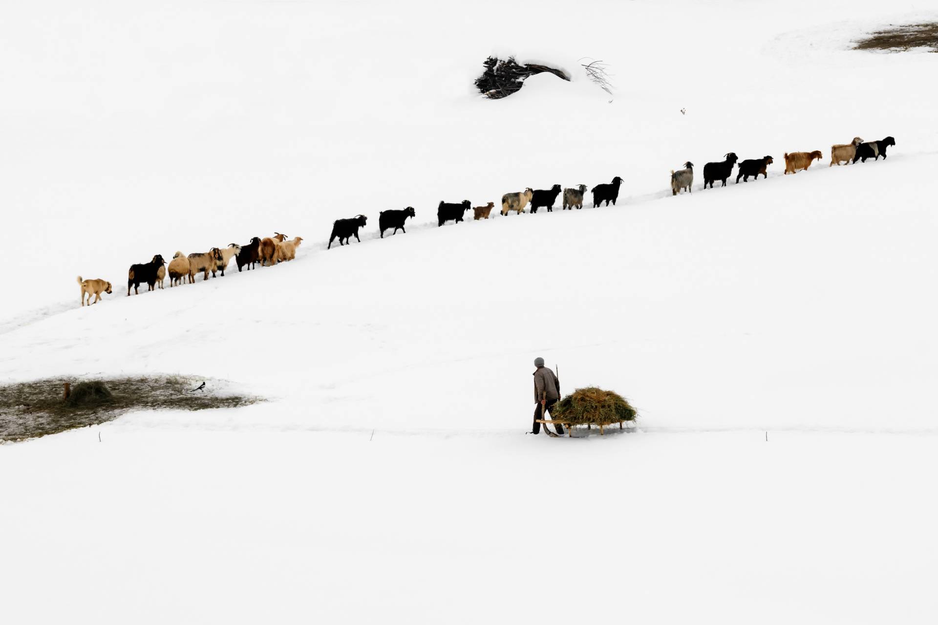Fotoğraf: Murat Bakmaz