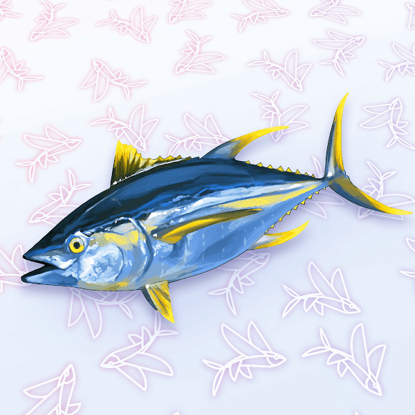 Flyfish Club token’larının, çevrimiçi bir NFT pazarı olan OpenSea’de satıldığını da belirtelim