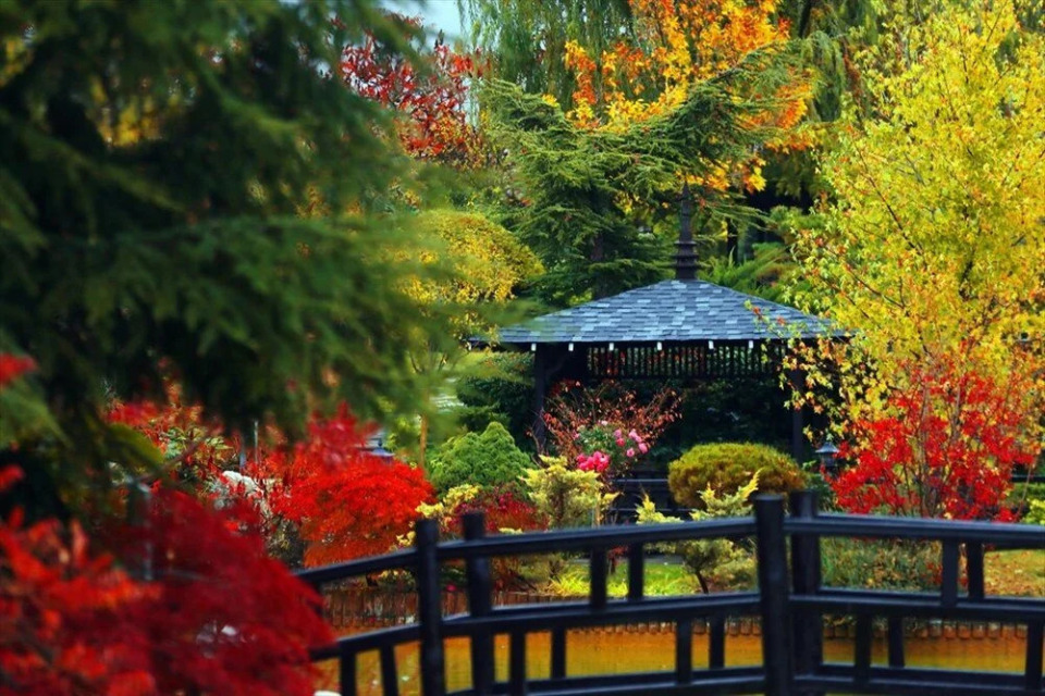 Konya'daki Japonya; Kyoto