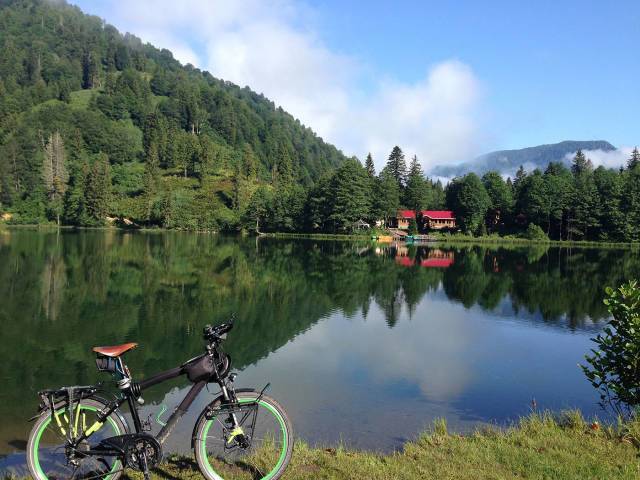 Artvin