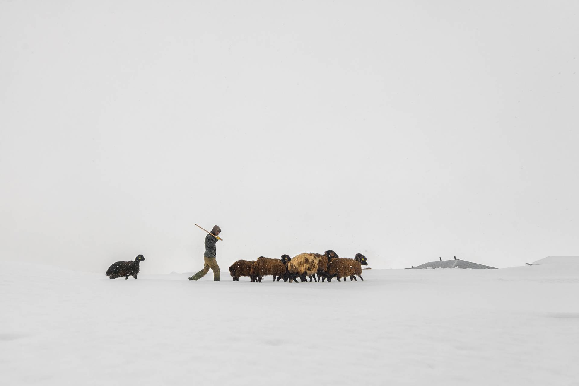 Fotoğraf: Murat Bakmaz