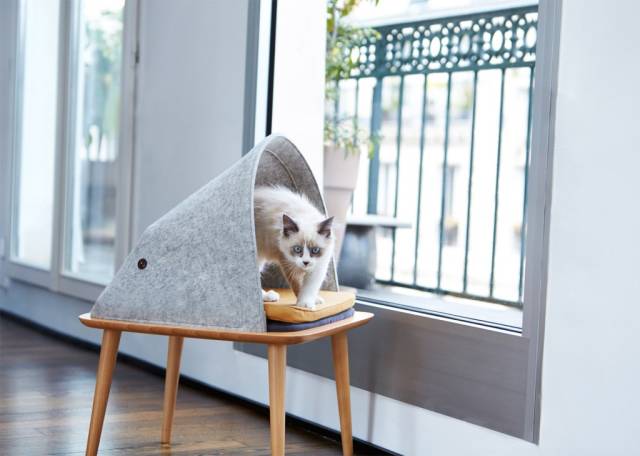 Paris merkezli kedi mobilya tasarımı mağazası Meyou, kediler için birbirinden güzel üç tasarıma imza attı.