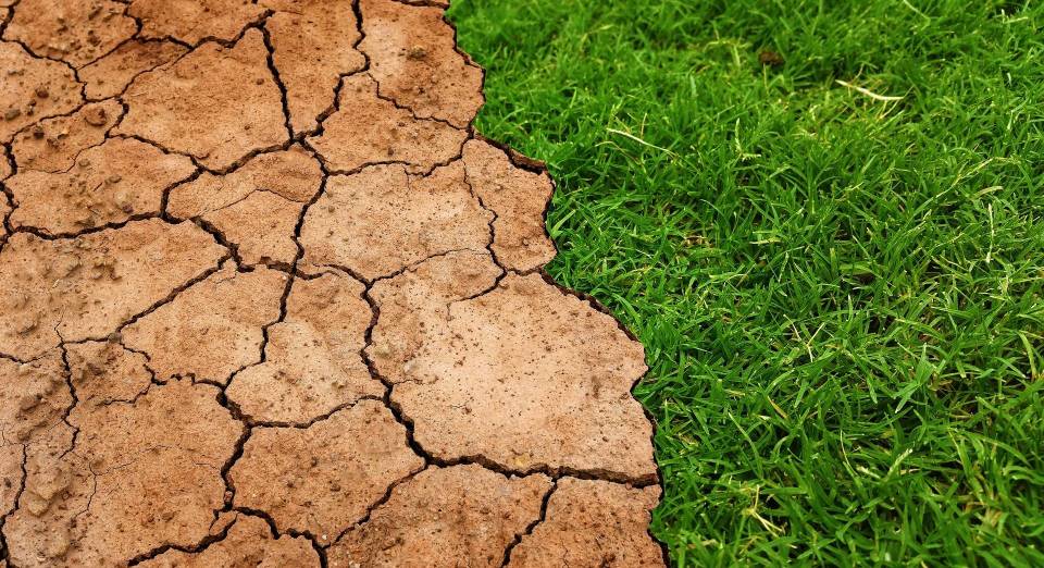 The Impacts of Eating Habits on Climate Changes