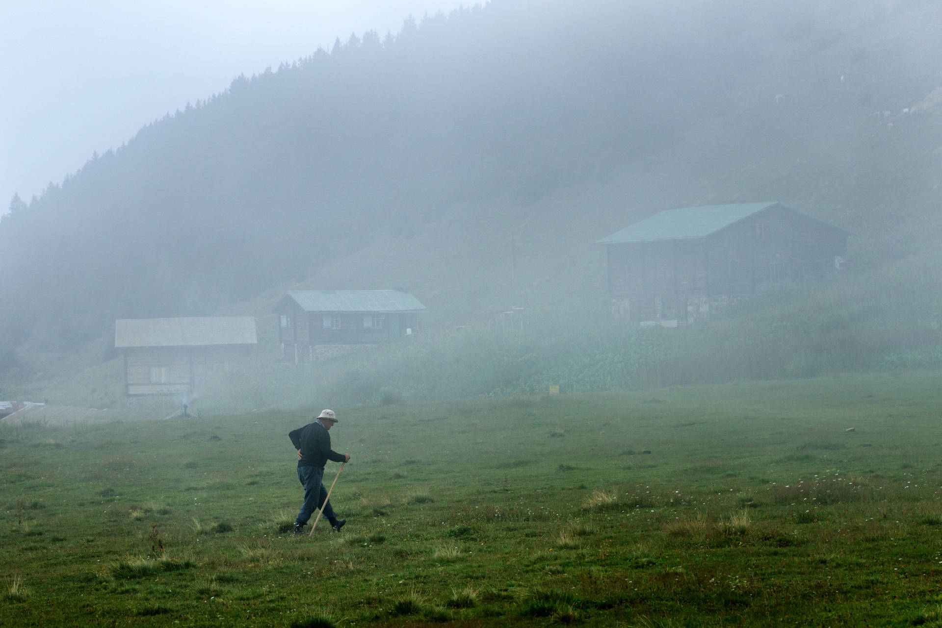 Yolunuz Pokut Yaylası’na düşmüşse Sal Yaylası’na da uğramadan geçmek olmaz sanki. Yaklaşık 2.000 metre yüksekliği ile Karadeniz’e yukarıdan bakan yayla, bölgenin kendine özgü tüm özelliklerini bir arada sunuyor