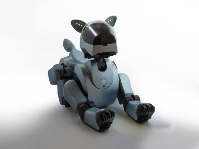 1999 yılında ev hayatına da destek olan robot evcil hayvan Aibo üretildi.