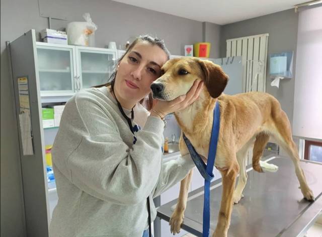 Vetco Veteriner Kliniğinden Veteriner Hekim Aslıhan Tan, salgın döneminde evcil hayvanlarla olan iletişimimizde empatiye her zamankinden daha çok ihtiyaç olduğuna değiniyor. 