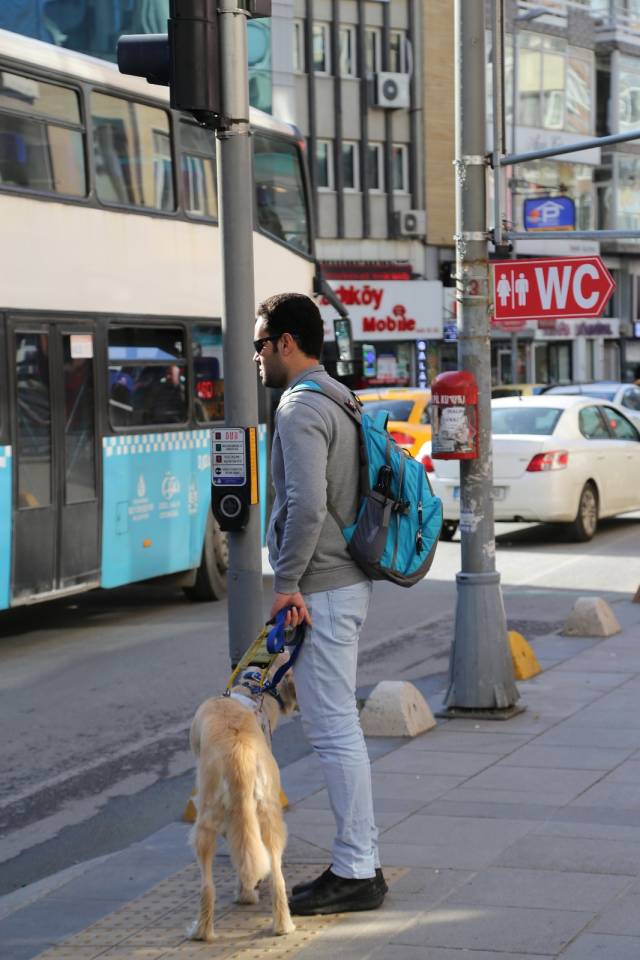 Rehber köpekler görme engelli vatandaşların günlük yaşamını kolaylaştırıyor.|Fotoğraf: İrem Karakahya