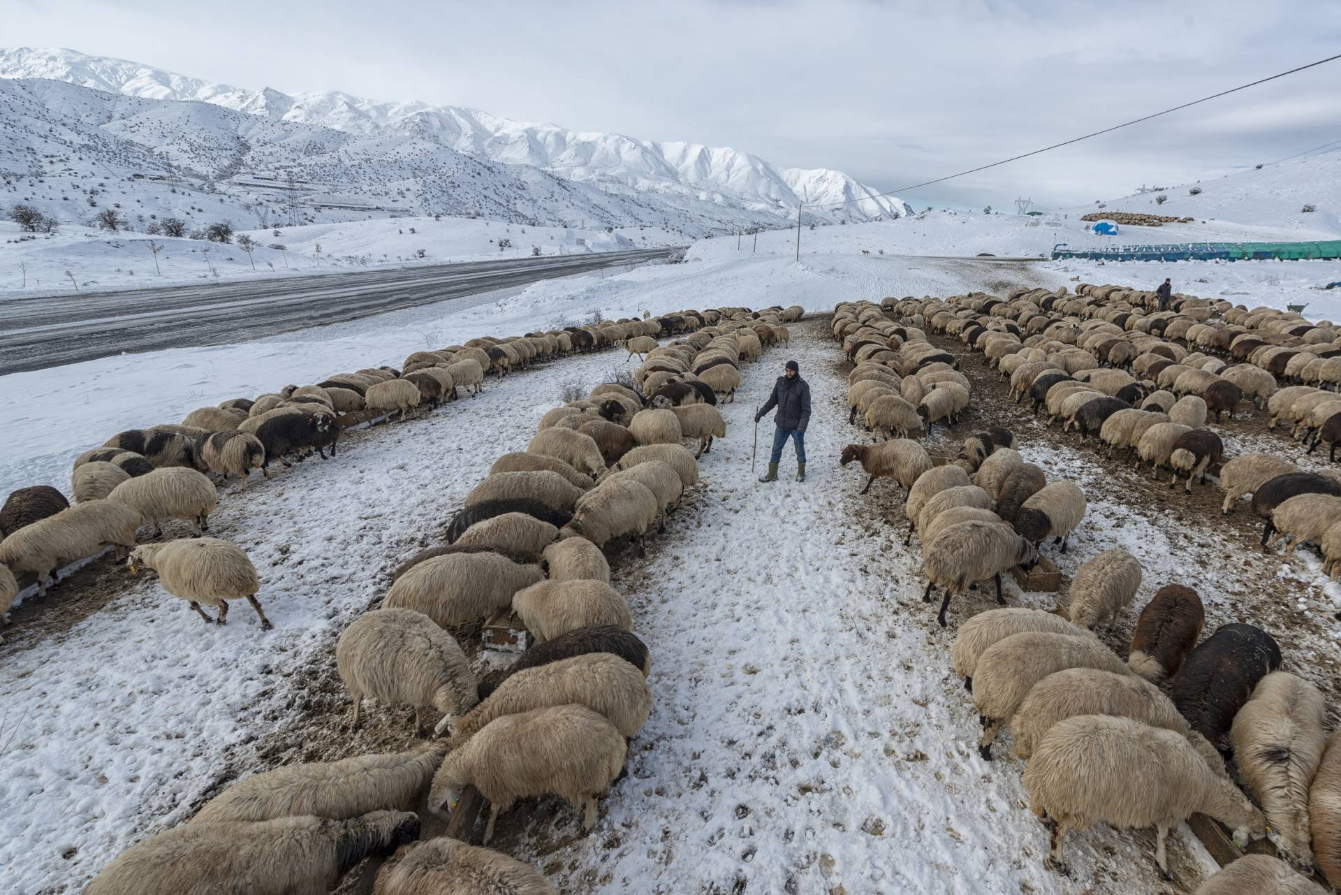 Fotoğraf: Murat Bakmaz