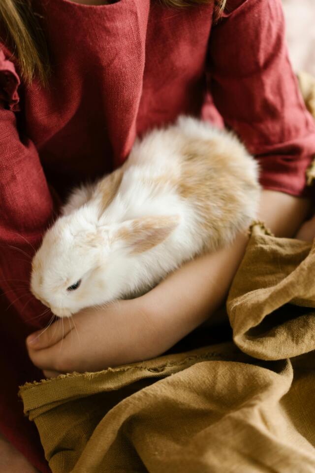 Vegan ve vejetaryen diyetlerin popülerlik kazanması sayesinde gıda endüstrisinde de önemli değişiklikler yaşanabiliyor.