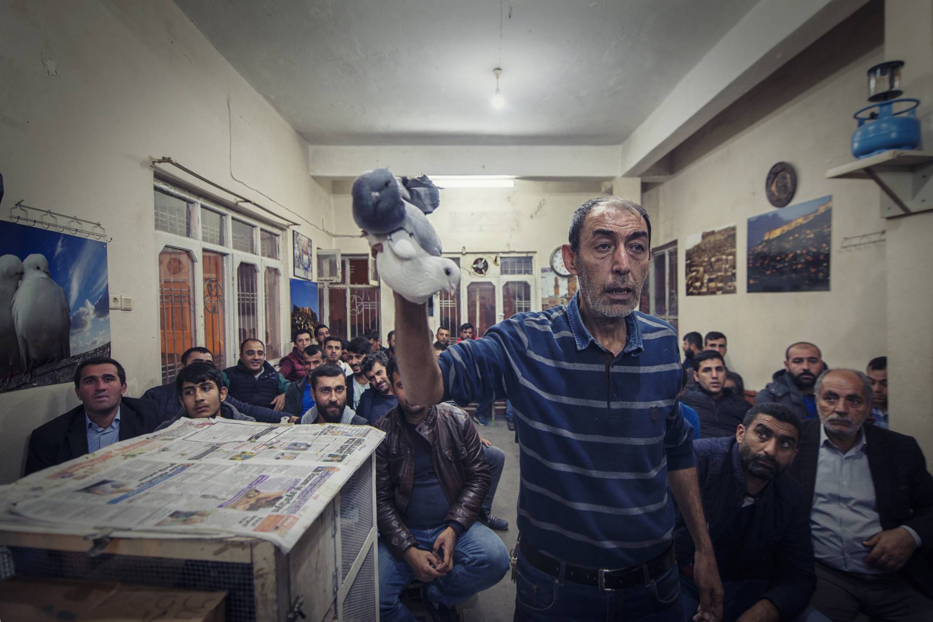 Mardin