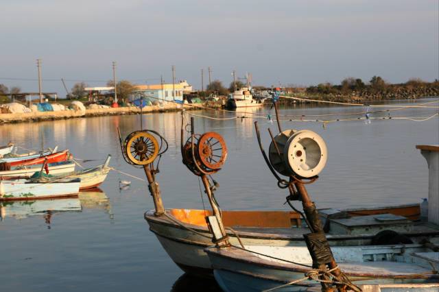 İğneada