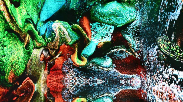 THY ve medya sanatçısı Refik Anadol iş birliğiyle hazırlanan "İç Portre" adlı proje, 12 Haziran'da İsviçre'nin Basel kentindeki Art Basel'de sergilendi.