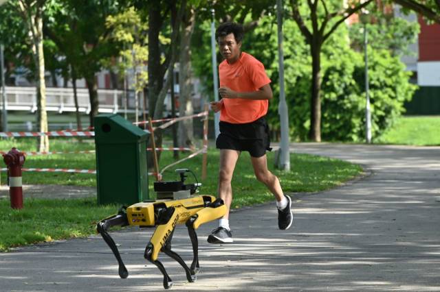Singapur da robot köpekleri etkin olarak kullanıyor.