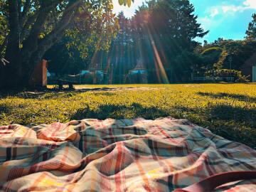 Nefes aldıran bir etkinlik: Piknik