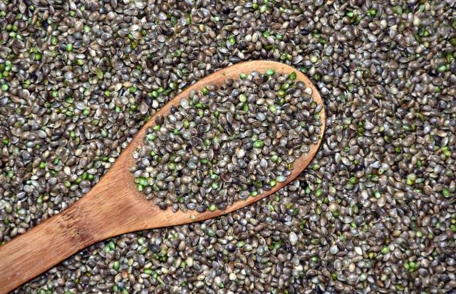 Kenevir tohumu protein açısından en zengin besinlerden biri.
