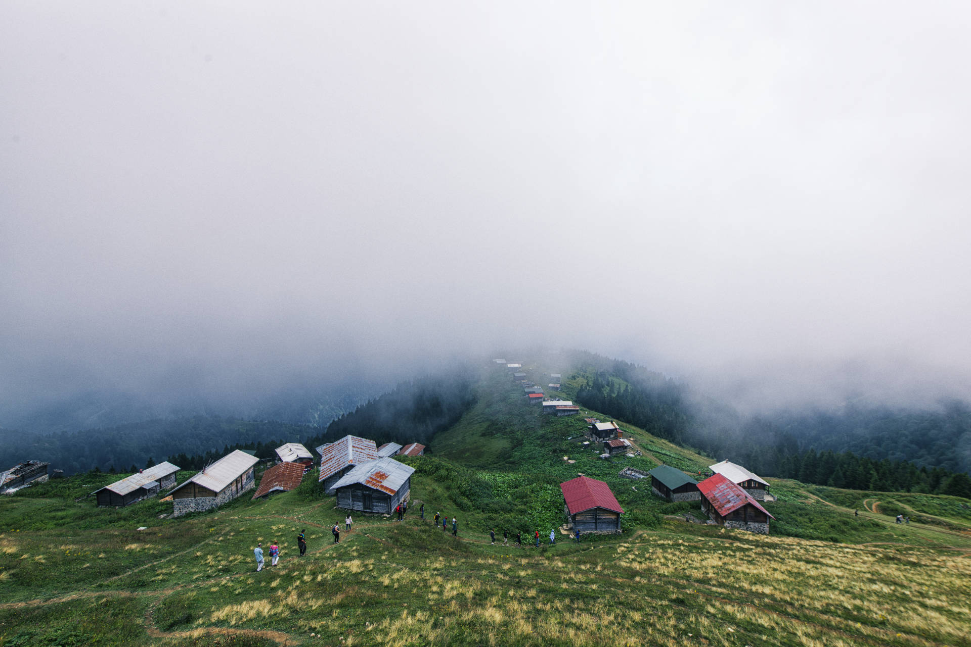 Karadeniz’i diğer bölgelerimizden farklı kılan en önemli özelliklerinden biri kültürün de değişmez bir simgesi olan evleri. Pokut ise bu konuda cömert. Burada Karadeniz’e has ahşap evleri ile yayla yaşamının tüm güzelliklerini bulabilirsiniz.