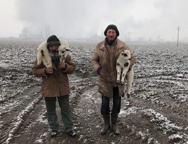 2021 büyük ödül, Kerekes István, Macaristan Transylvanian Shepherds iPhone 7 ile çekildi