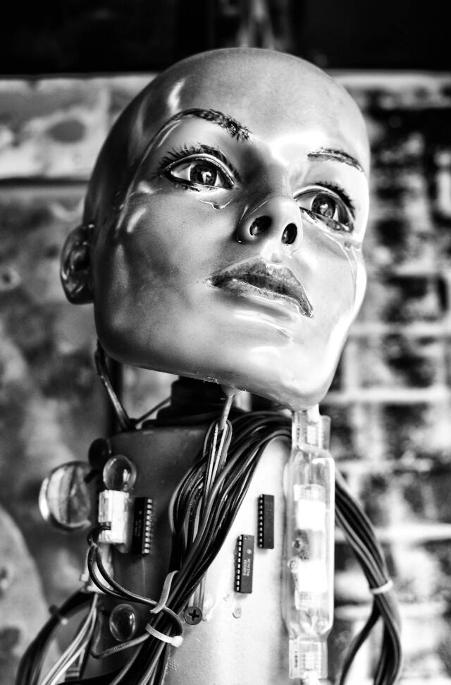 Robotların günlük hayata entegrasyonu kaçınılmaz olarak toplumları ve ekonomileri dönüştürecek.