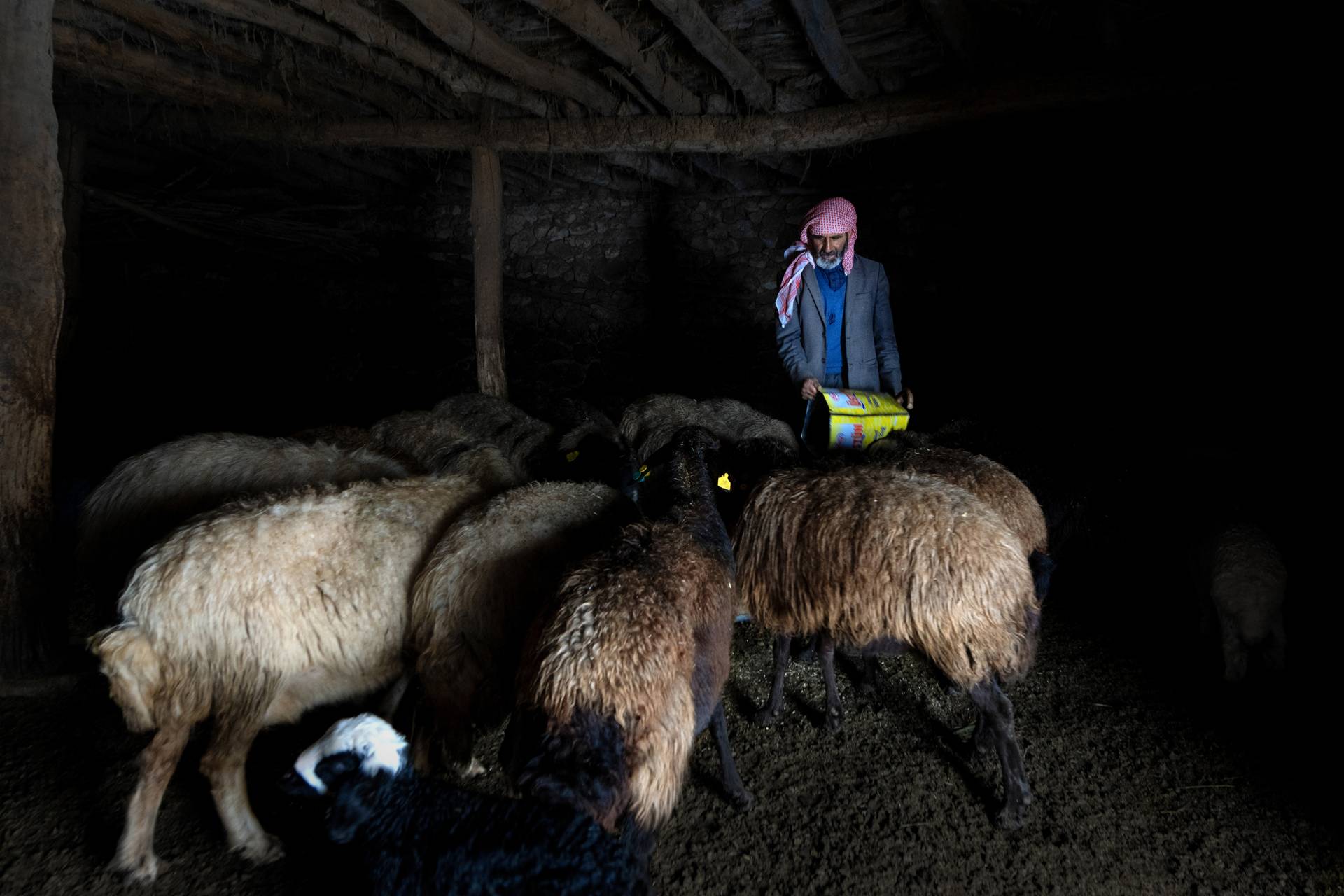 Fotoğraf: Murat Bakmaz