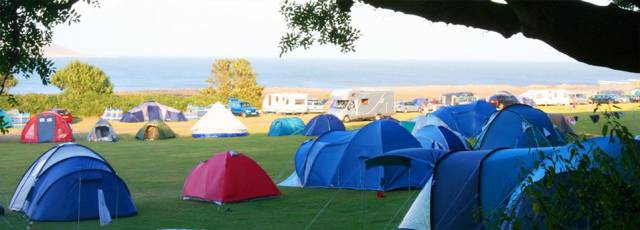 Kamp Alanları - Martı Kamping