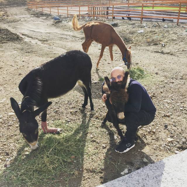 Okan Oflaz, “Hiç kimse tarafından sevilmemişler”in derneği olarak tanımlıyor WARF’ı.