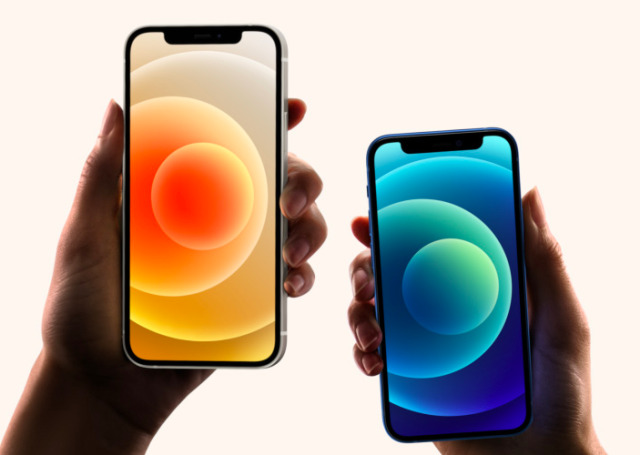 Apple Pay uygulaması; Face ID ve iPhone 5s hariç Touch ID özellikli iPhone’larda, Touch ID veya Face ID özellikli iPad Pro, iPad Air, iPad ve iPad mini modellerinde; Apple Watch 1 ve üst modellerinde, Touch ID özellikli ve 2012 sonrasında kullanıma sunulan Mac modellerinde mevcut. 
