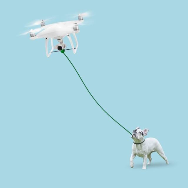 Köpek gezdiren drone sokaklarda