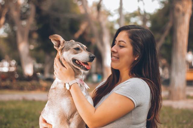 Köpeklerimiz sözcükleri ayırt edebiliyor.