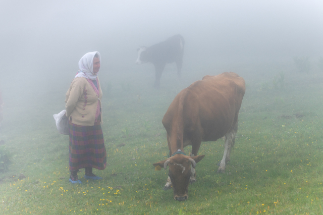 Romeika başta Trabzon olmak üzere Karadeniz’de konuşulan ve yok olma tehlikesi yaşayan bir dil. 