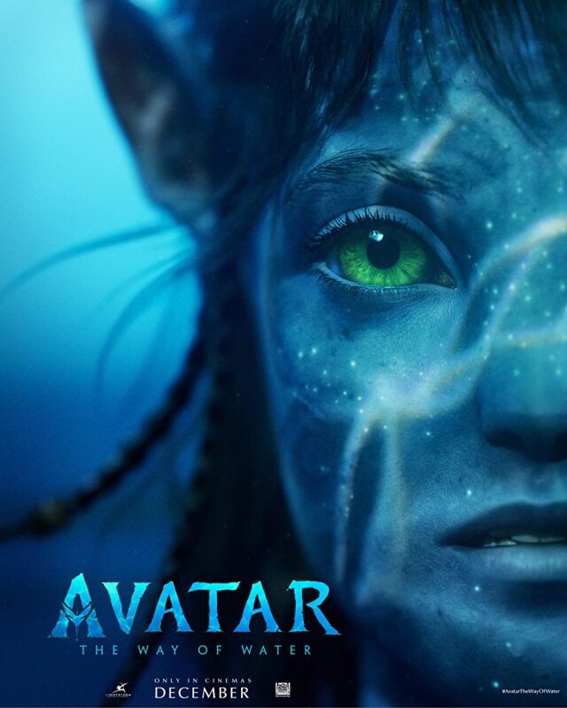 3 saat 12 dakika süren “Avatar: Suyun Yolu” filminin bütçesi ise 250 milyon dolar olarak açıklanmıştı.