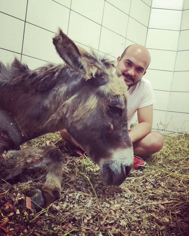 Kötü koşulda yaşayan hayvanlar kurtarılarak korunma altına alınıyor.