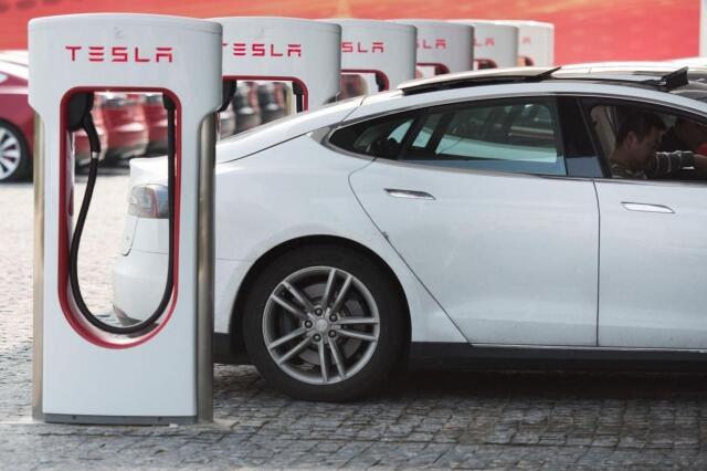 Tesla üreticilerinin belki de hiç aklına gelmeyen başına geldi. Araçlara fareler dadandı. 