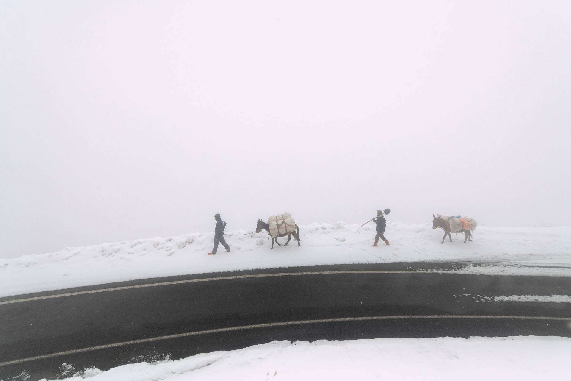 Fotoğraf: Murat Bakmaz