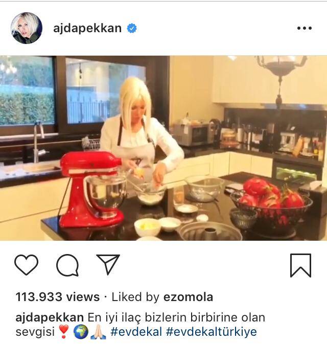 Ajda Pekkan'ın instagram paylaşımı