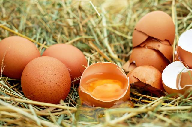 Üzerinde kod olmayan yumurta satmak yasak. Pazardan bile alsanız yumurtanın başındaki koda dikkat edin!