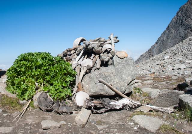 1942 yılında, Roopkund Gölü’nde insan iskeletleri bulunduğundan beri, bölgede araştırmalar sürüyor, durumu açıklamak için yeni teoriler ortaya atılıyor.