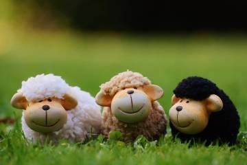 Mesafeli, kaygılı, tedbirli ama yine de bayram! 