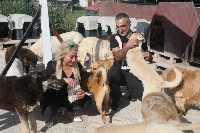 Barınağın aylık mama gideri yaklaşık 9750 kilo.|Fotoğraf: Cenk Ertekin