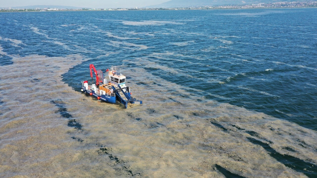 Deniz salyası ile mücadele kapsamındaki eylem planı 6 Haziran’da açıklandı. (Fotoğraf: ANKA Haber Ajansı)