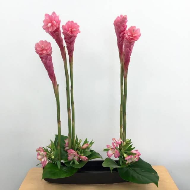 Ikebana