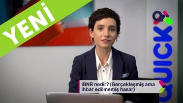 IBNR Nedir?