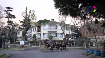 Dar Kasko Nedir?